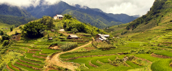 Sapa-landscape